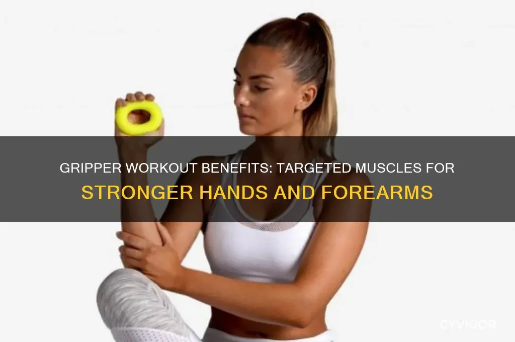 Gripper Workout Benefits: Targeted Muscles For Stronger Hands And ...
