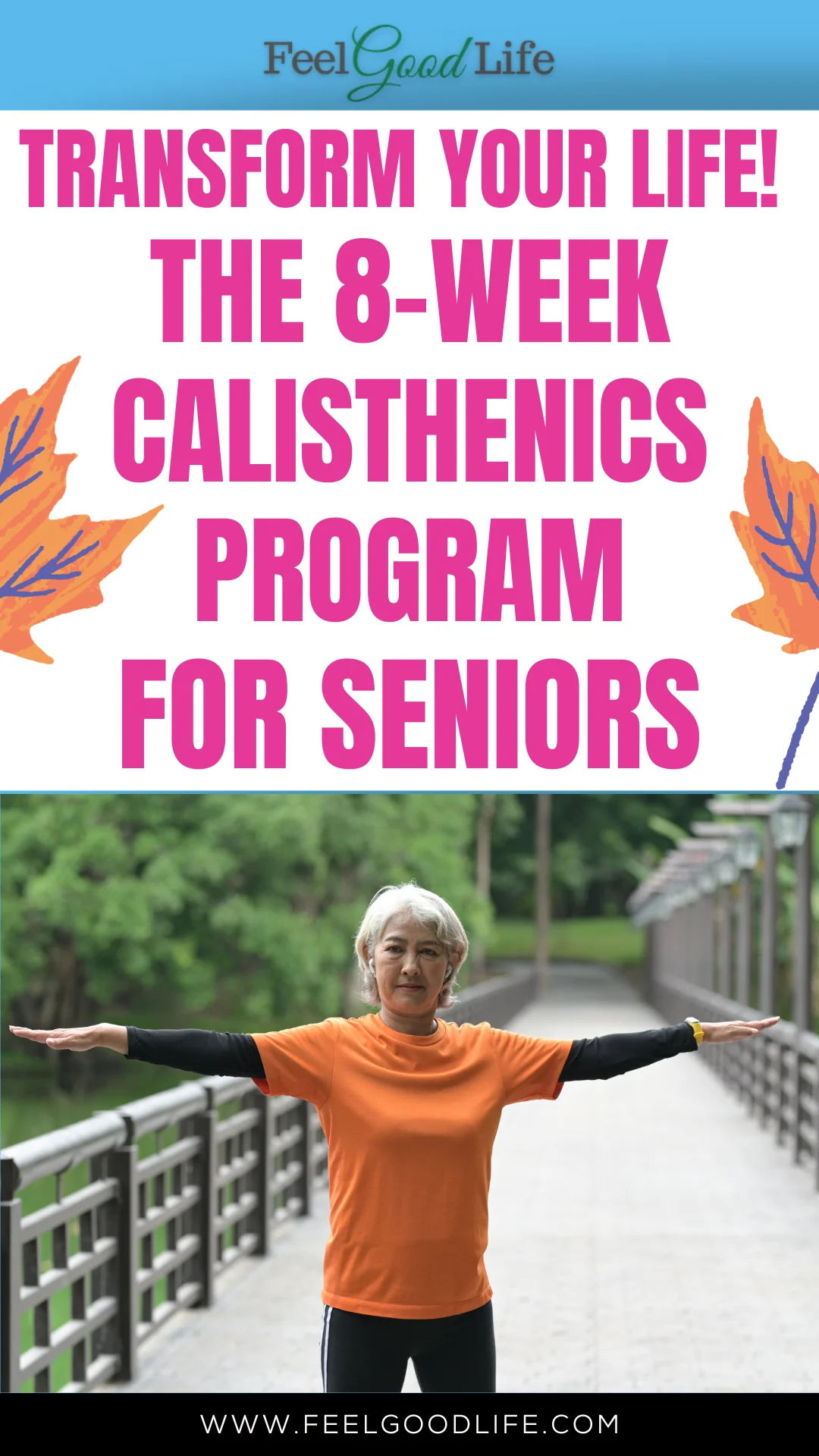 Transform Your Life! The 8-Week Calisthenics Program for Seniors ...