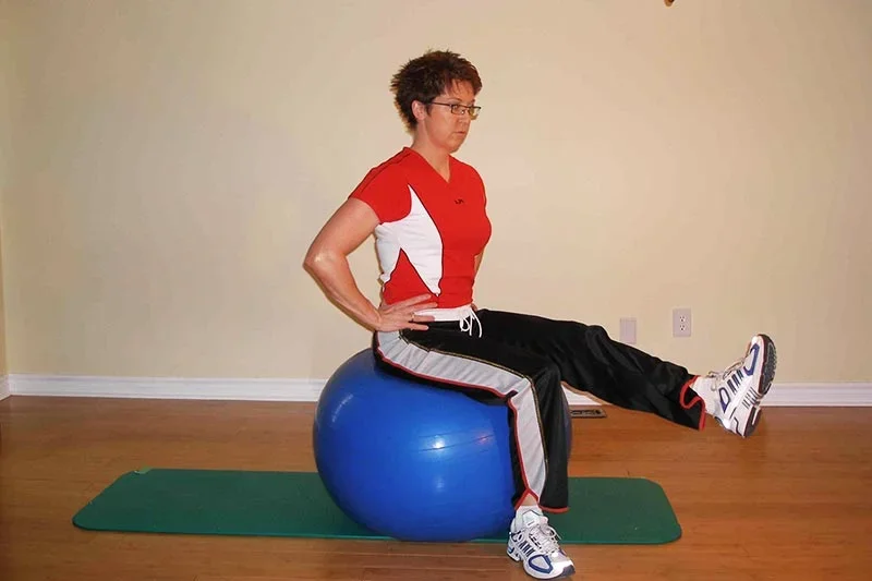 stability ball exercises senior joint calisthenics